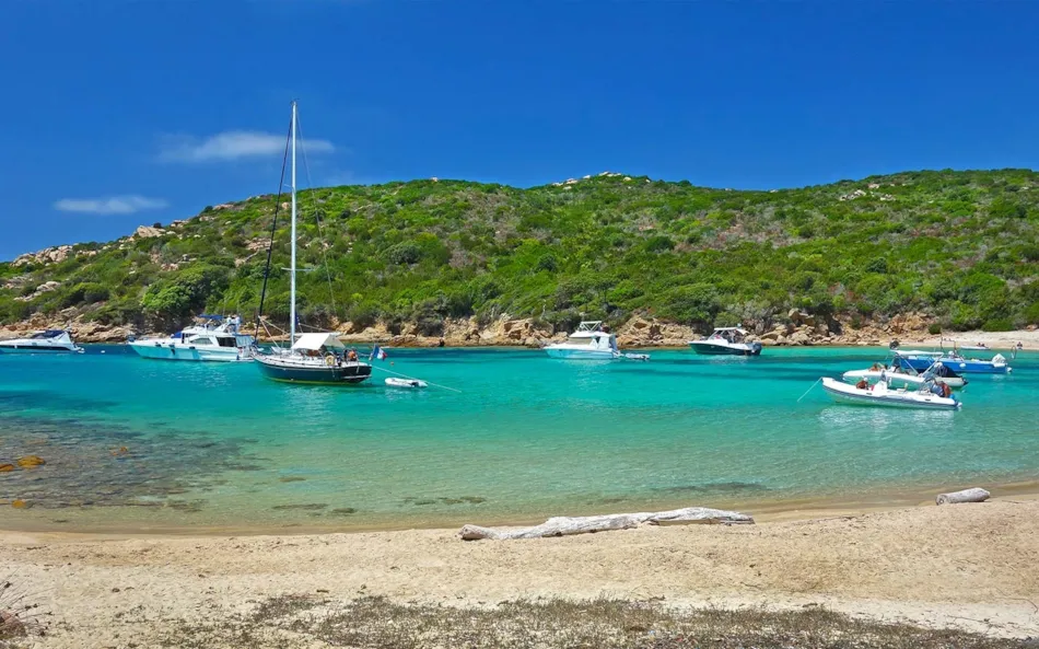 Camping OLVA LES EUCALYPTUS