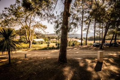Corsica Lodge - 2 bedrooms