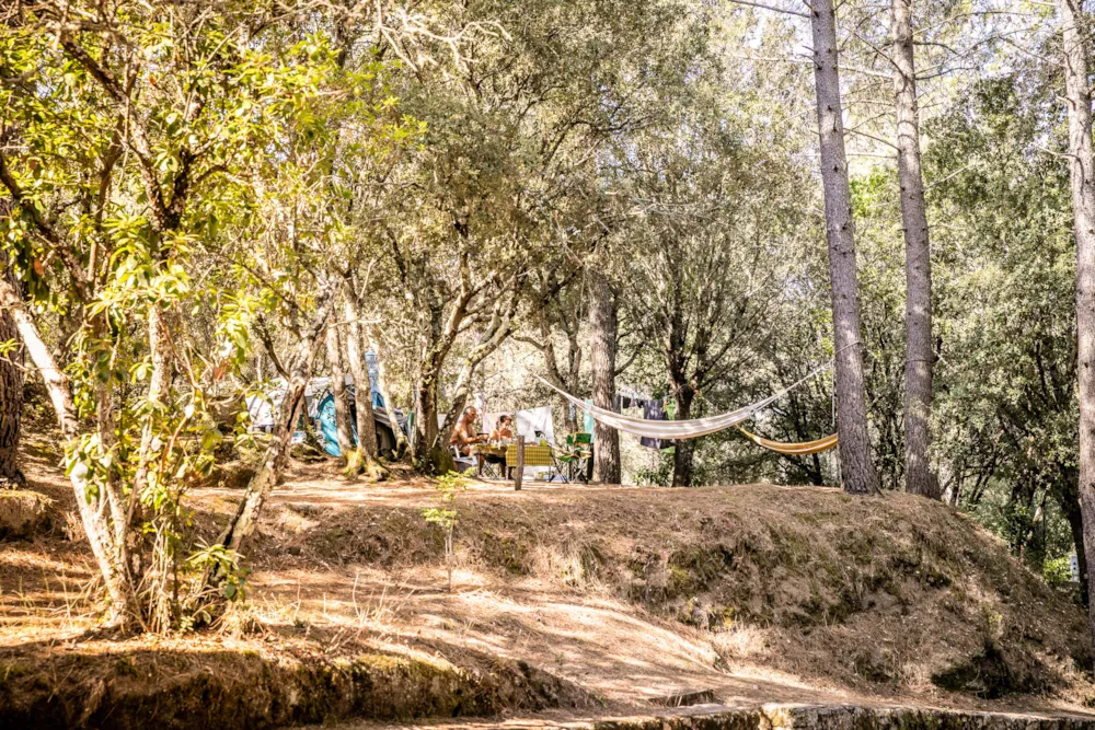 Emplacement - Emplacement - Camping OLVA LES EUCALYPTUS