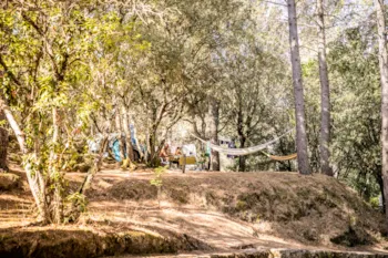 Stellplatz - Stellplatz - Camping OLVA LES EUCALYPTUS