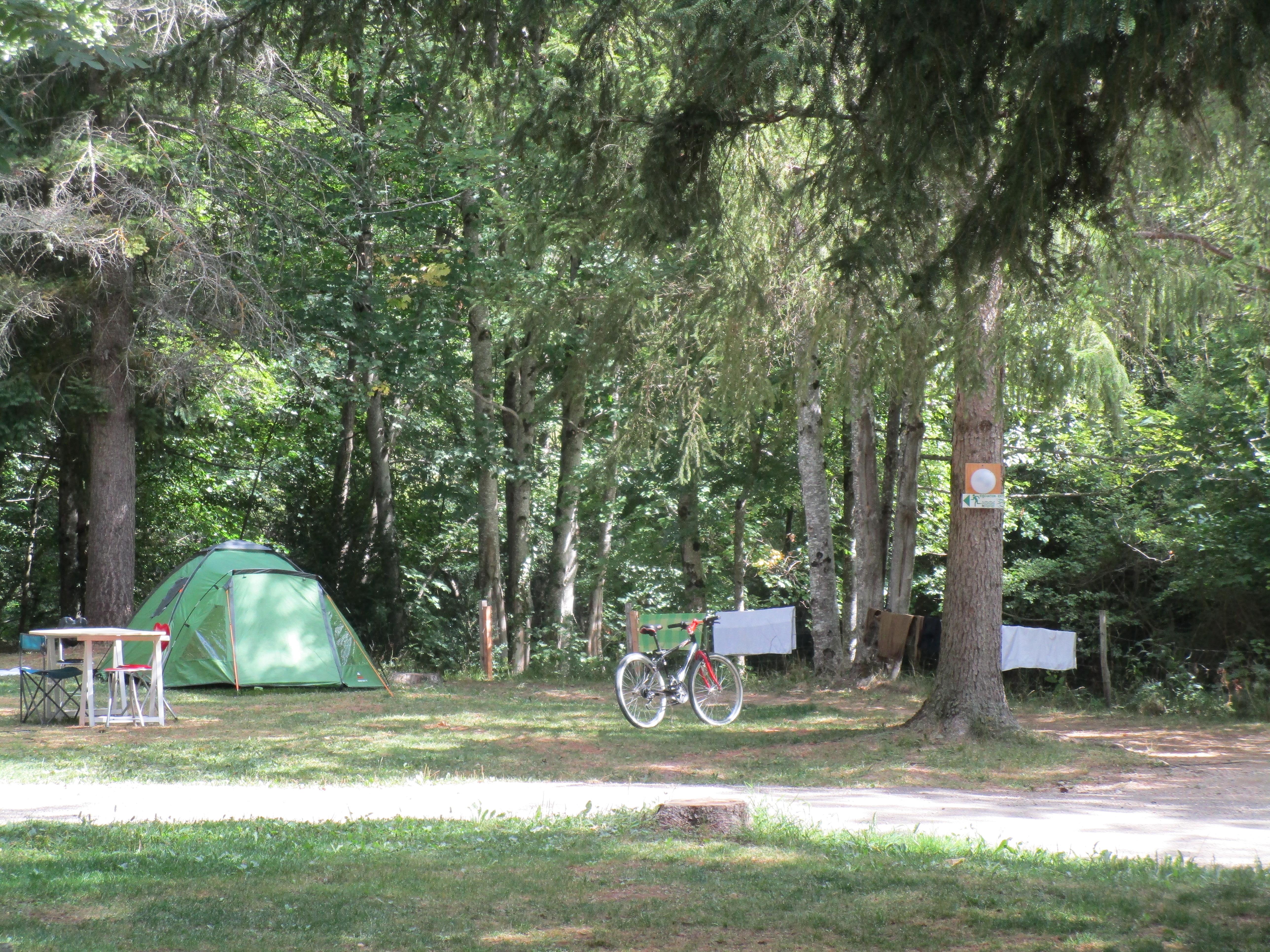 Standplads Telt / Campingvogn / Autocamper
