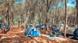 Parcela - Parcela Tienda - Camping Village Spinnaker