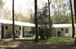 Alojamiento - Bungalow Dos Piezas Con Cocina - Camping Village Spinnaker