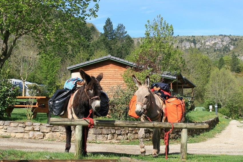 Camping La Cascade — Photo 4