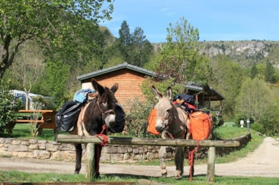 Camping La Cascade