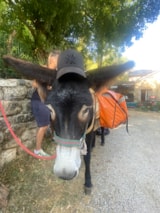 Foto #43 van Camping La Cascade