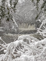 Foto #53 van Camping La Cascade