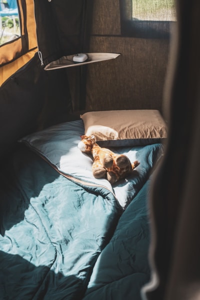 Comfortable canvas tent