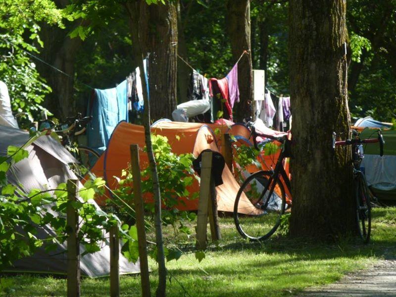 Emplacement - Emplacement - Camping Couderc