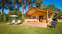 Huuraccommodatie(s) - Safaritent Comfort - Papillon Country Resort