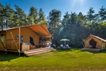 Mietunterkunft - Safaritent Premium - Papillon Country Resort