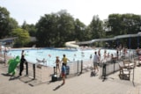 Foto #12 van Vakantiepark Witterzomer