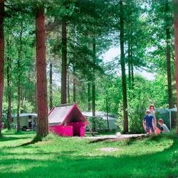 Camping de Paal - image n°23 - Roulottes