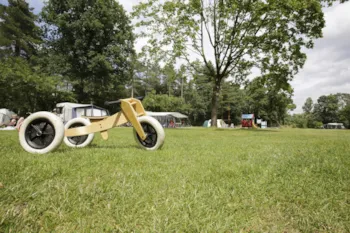 Stellplatz - Stellplatz Komfort Mit Strom 6A, Wasser, Dvb-C Digitale Television, Abwasseranschluss - Camping de Paal