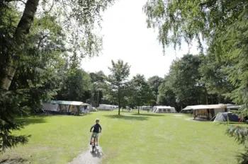 Camping de Paal - image n°3 - Camping Direct