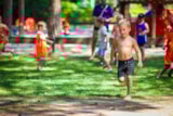Foto #21 van Camping de Paal
