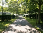 Camping Le Tivoli Camping Le Tivoli