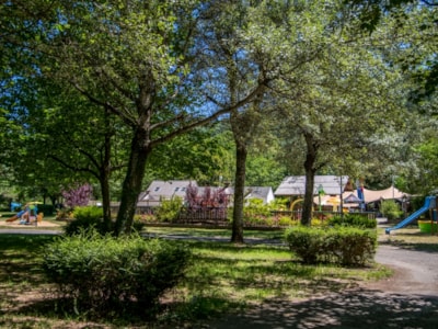 Comfort package80-100m² : tent, caravan or motorhome, electricity