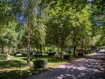 Nature package 80m² : 1 tent, caravan or camper / 1 car,