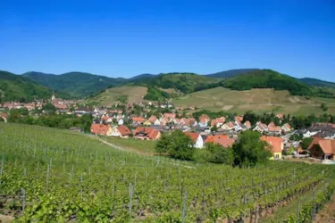 Camping Tohapi - L'Ile du Rhin - image n°2 - Camping Direct