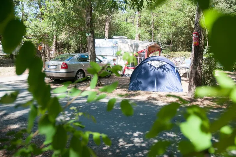Forfait Camping : Emplacement + Véhicule + Électricité