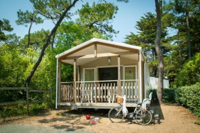 ECO Mobile home 2 bedrooms  LUDISIA  (+10 years) 24 m²  + Half-covered terrace — 1