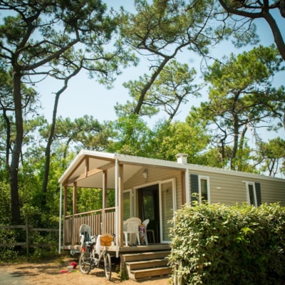 ECO Mobile home 2 bedrooms  LUDISIA  (+10 years) 24 m²  + Half-covered terrace — 2