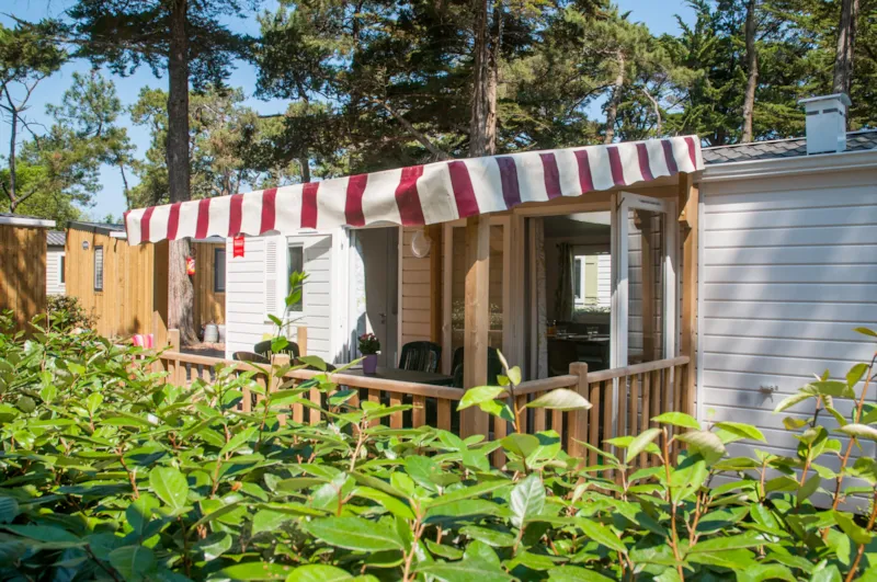 Eco Mobil Home 2Ch. Cordova (2015) 27M² + Terrasse Semi-Couverte