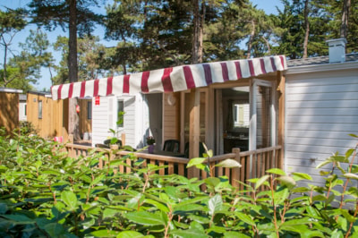 ECO Mobile home 2 bedrooms CORDOVA (2015) 27 m² + semi-covered terrace — 4