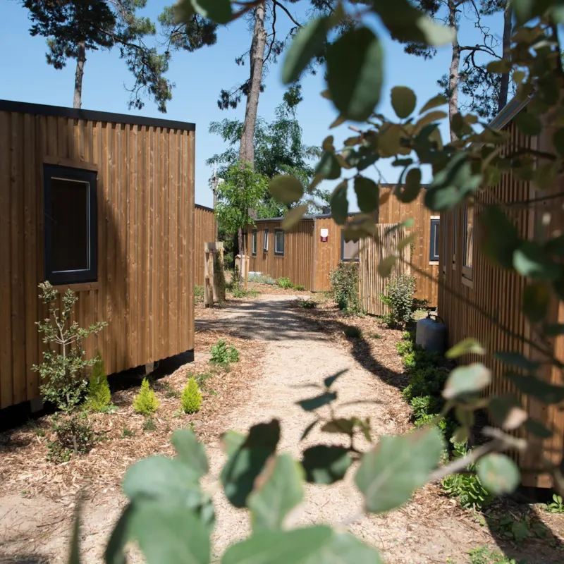 Confort Mobil Home 2Ch. Catleya (2017) 27M² + Terrasse Semi-Couverte