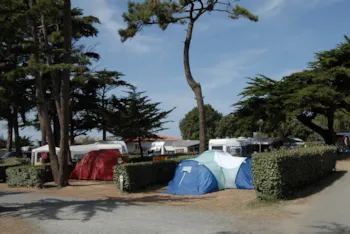Stellplatz - Stellplatz Pauschale Wanderer Oder Radfahrer Mit Zelt - 1 Nacht - Camping Les Cyprès