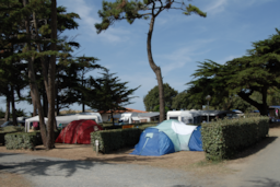 Emplacement - Forfait Etape Randonneur / Cycliste  - 1 Nuit - Camping Les Cyprès