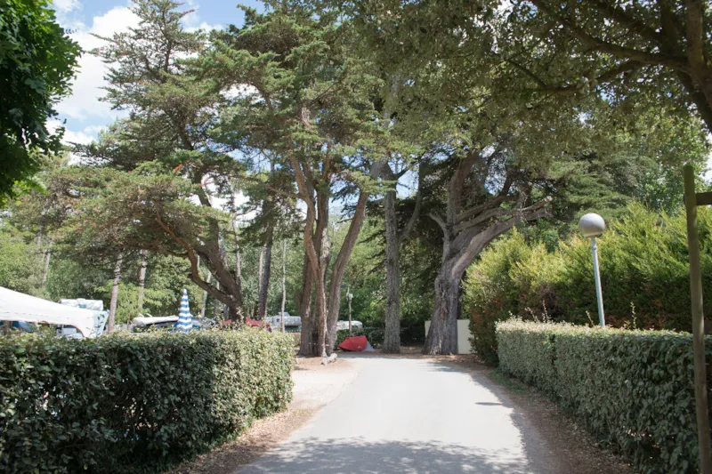 Forfait Etape Randonneur / Cycliste (Emplacement Partagé) - 1 Nuit