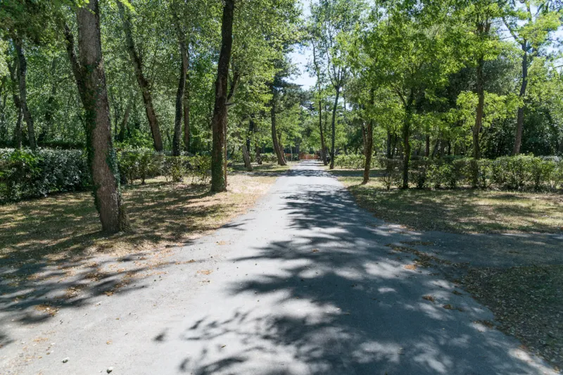 Forfait Etape Randonneur / Cycliste (Emplacement Partagé) - 1 Nuit