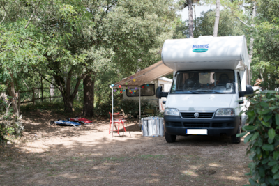 Pitch Camping : Pitch + vehicule + electricity — 10