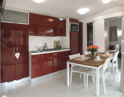 Mobile-home 2 bedrooms / 1 bathroom - sheltered terrace — 2