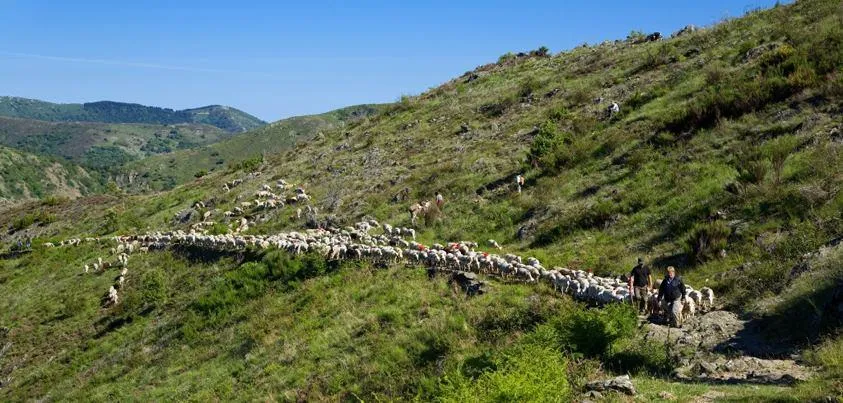 Les Méditerranées - Camping Beach Garden