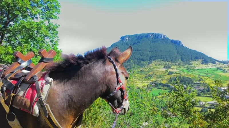 Mobil Home Week End - Sun Roller Ou Louisiane Oakley