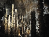 Camping La Blaquière