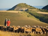 Camping La Blaquière