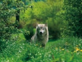 Camping La Blaquière