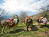 Camping La Blaquière