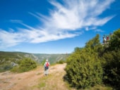 Camping La Blaquière
