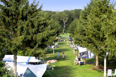 Pitch Comfort - electricity 10A / car / small tent / water and drainage point / TV, Wifi / taxes included