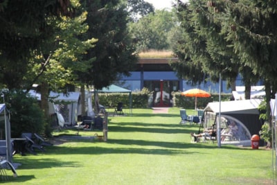 Pitch Comfort - electricity 10A / car / small tent / water and drainage point / TV, Wifi / taxes included
