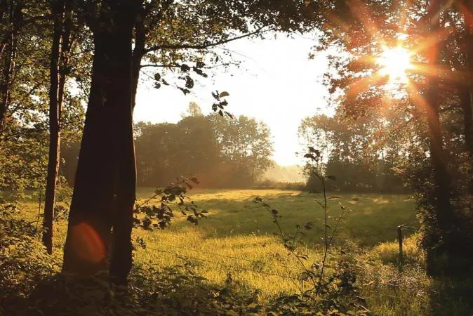 Vakantiepark De Luttenberg - image n°51 - UniversalBooking