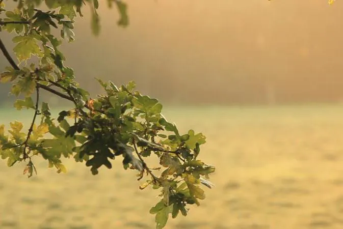 Vakantiepark De Luttenberg - image n°52 - UniversalBooking