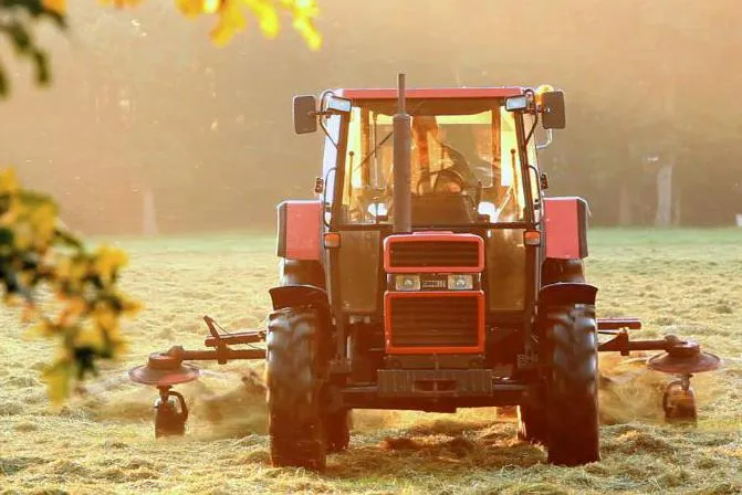 Vakantiepark De Luttenberg - image n°49 - UniversalBooking