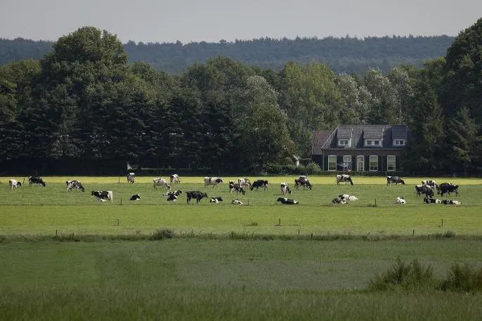 Vakantiepark De Luttenberg - image n°50 - UniversalBooking