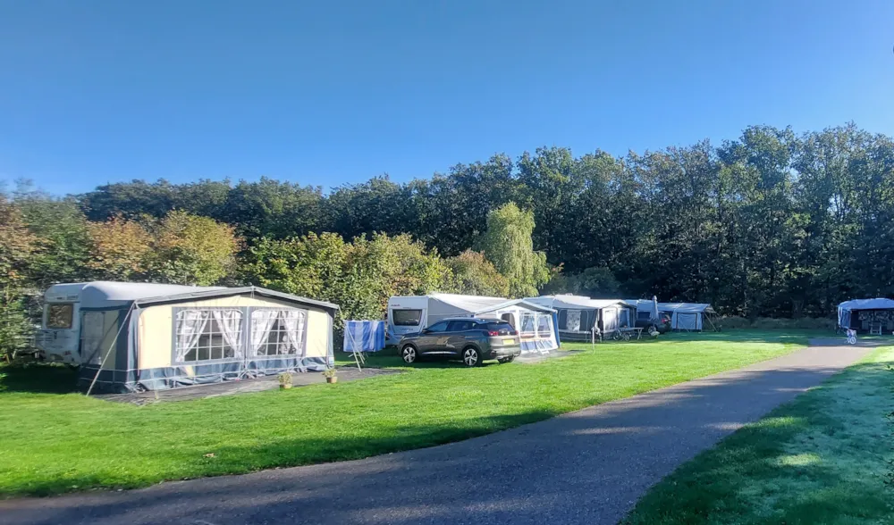 Pitch - Super Comfort Pitch - Vakantiepark De Luttenberg